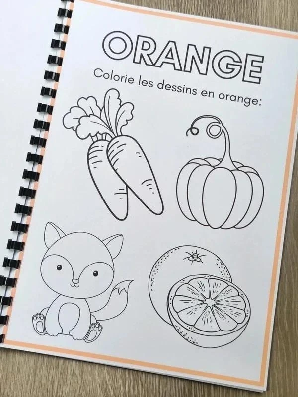 Livret de coloriage, les couleurs – photo 4